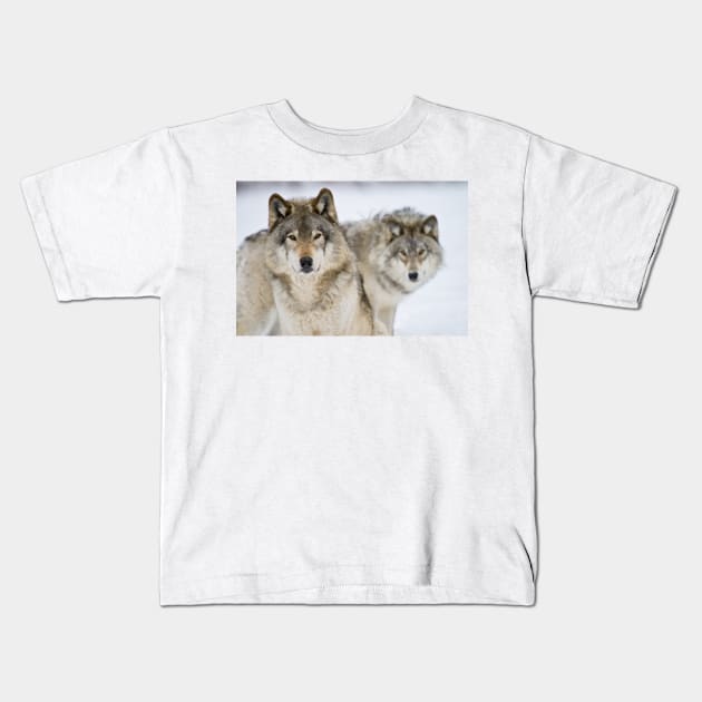 Timber Wolves Kids T-Shirt by jaydee1400
